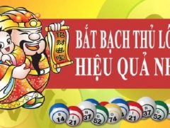 cach bat bach thu lo kep