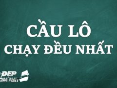 Cầu lô chạy đều nhất