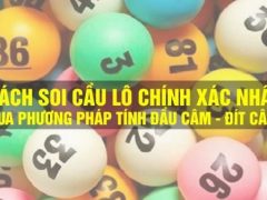 Thông tin và phương pháp soi đề từ đầu lô câm hay về